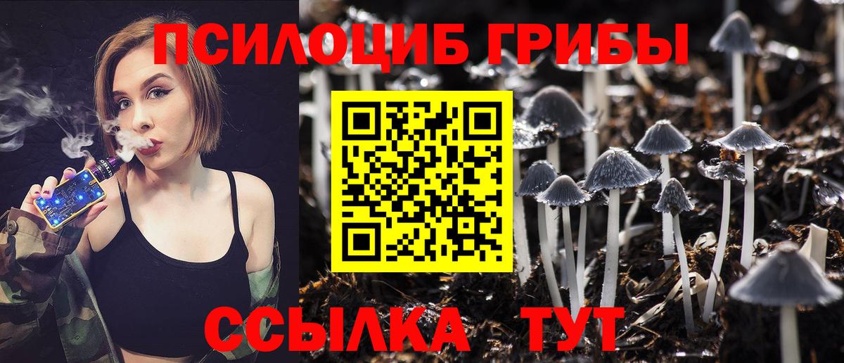 Галлюциногенные грибы Magic Shrooms Мценск